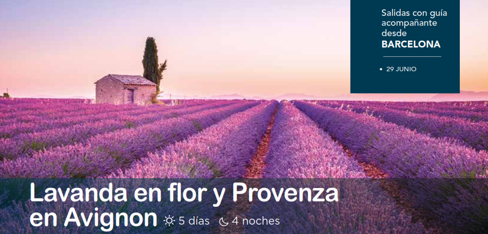 LAVANDA 29 JUN
